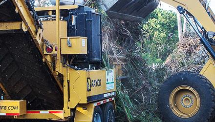 Clearing invasive plants unlocks 18,77 billion litres of water per year