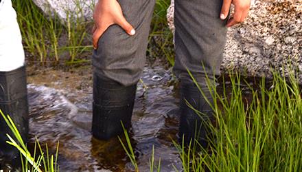 City partnership prevents 94 tonnes of river pollution from reaching the ocean