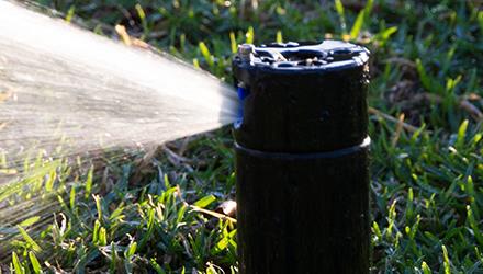 Cape Town sets proactive water savings target for summer